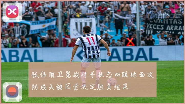 张伟丽卫冕战对手状态回暖地面攻防成关键因素决定胜负结果